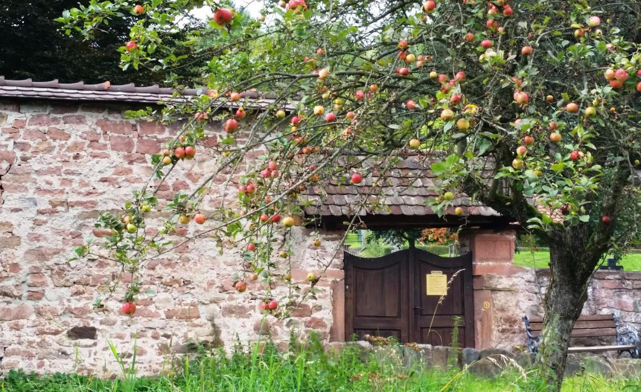 UrlaubsRaum Apartamento Heiligkreuzsteinach Exterior foto