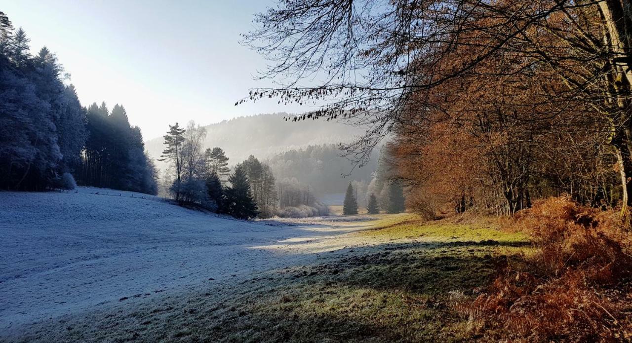 UrlaubsRaum Apartamento Heiligkreuzsteinach Exterior foto